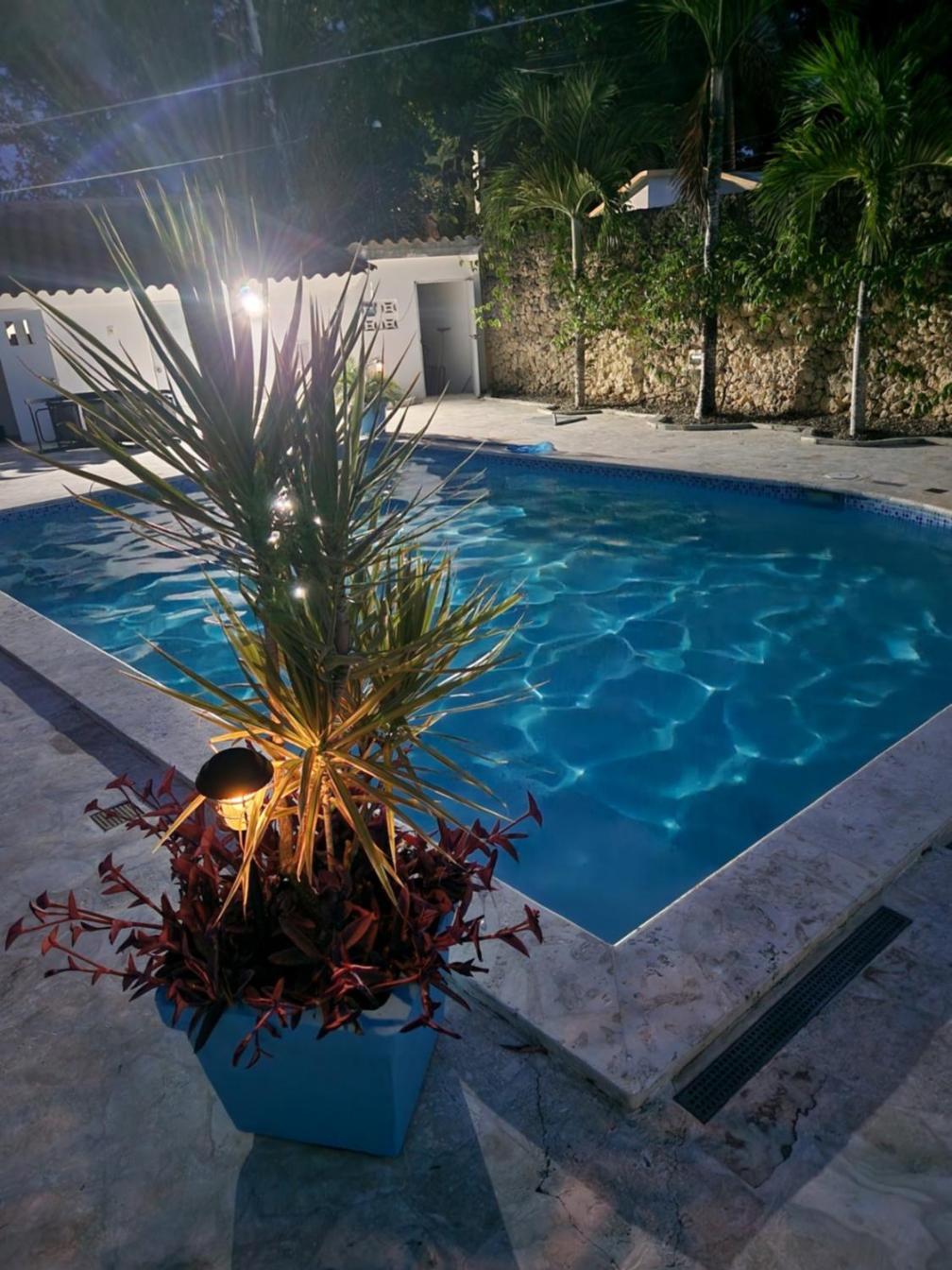 Casa Blanca - White House Apartment Cabarete Exterior photo